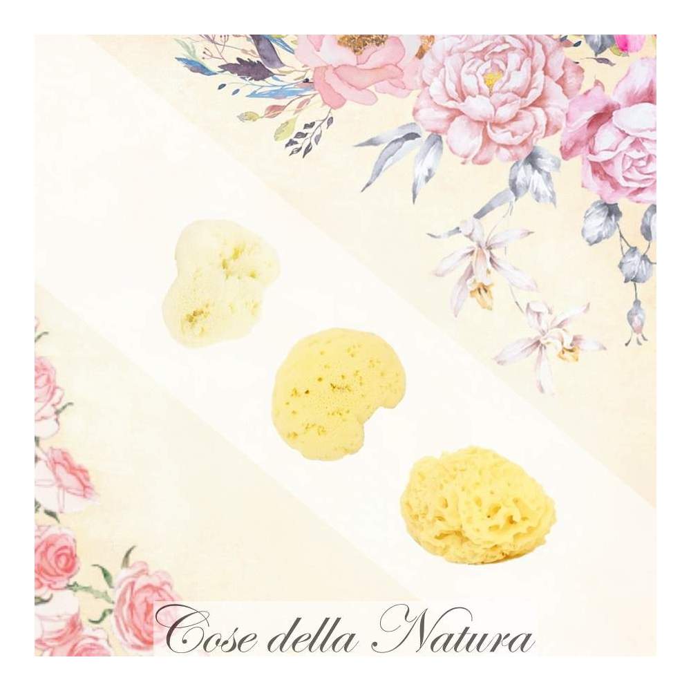 Cose della Natura ESSENTIAL - Mini Beauty Tris Viso