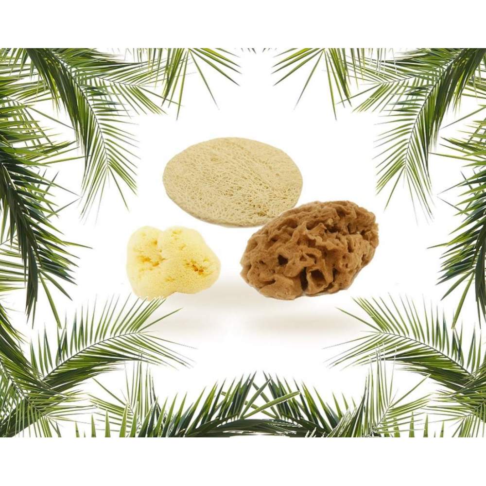 Cose della Natura ESSENTIAL - Starter Kit Viso