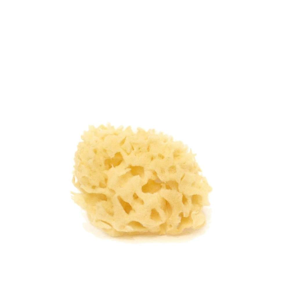 Cose della Natura Spugna Arcipelago Sbiancata VISO - 2/3 gr