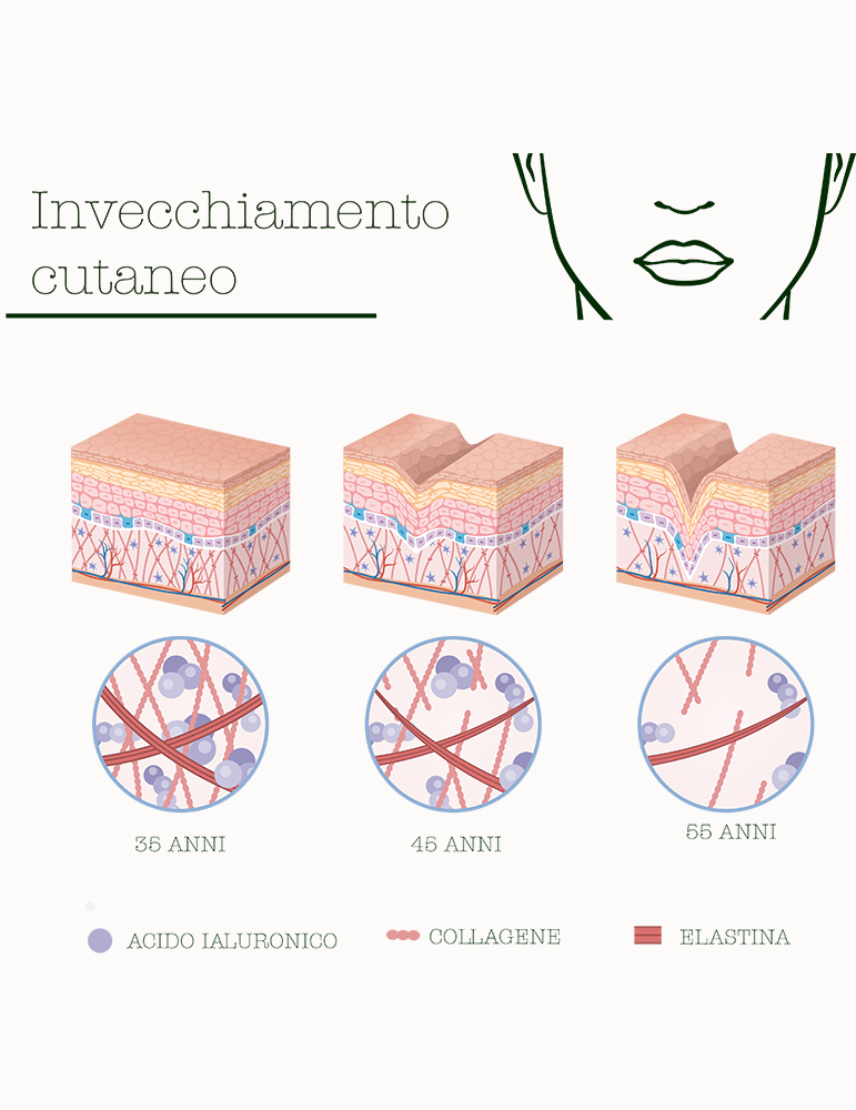 La Saponaria Fermentati Complex 30ml