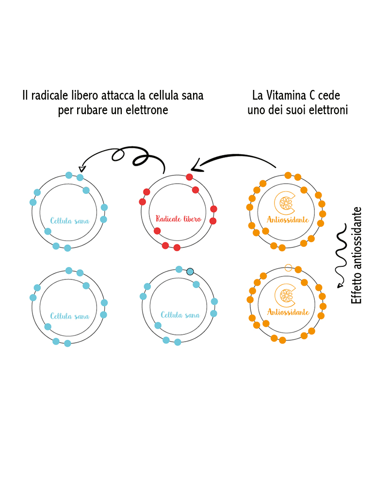 La Saponaria Vitamina C 30ml